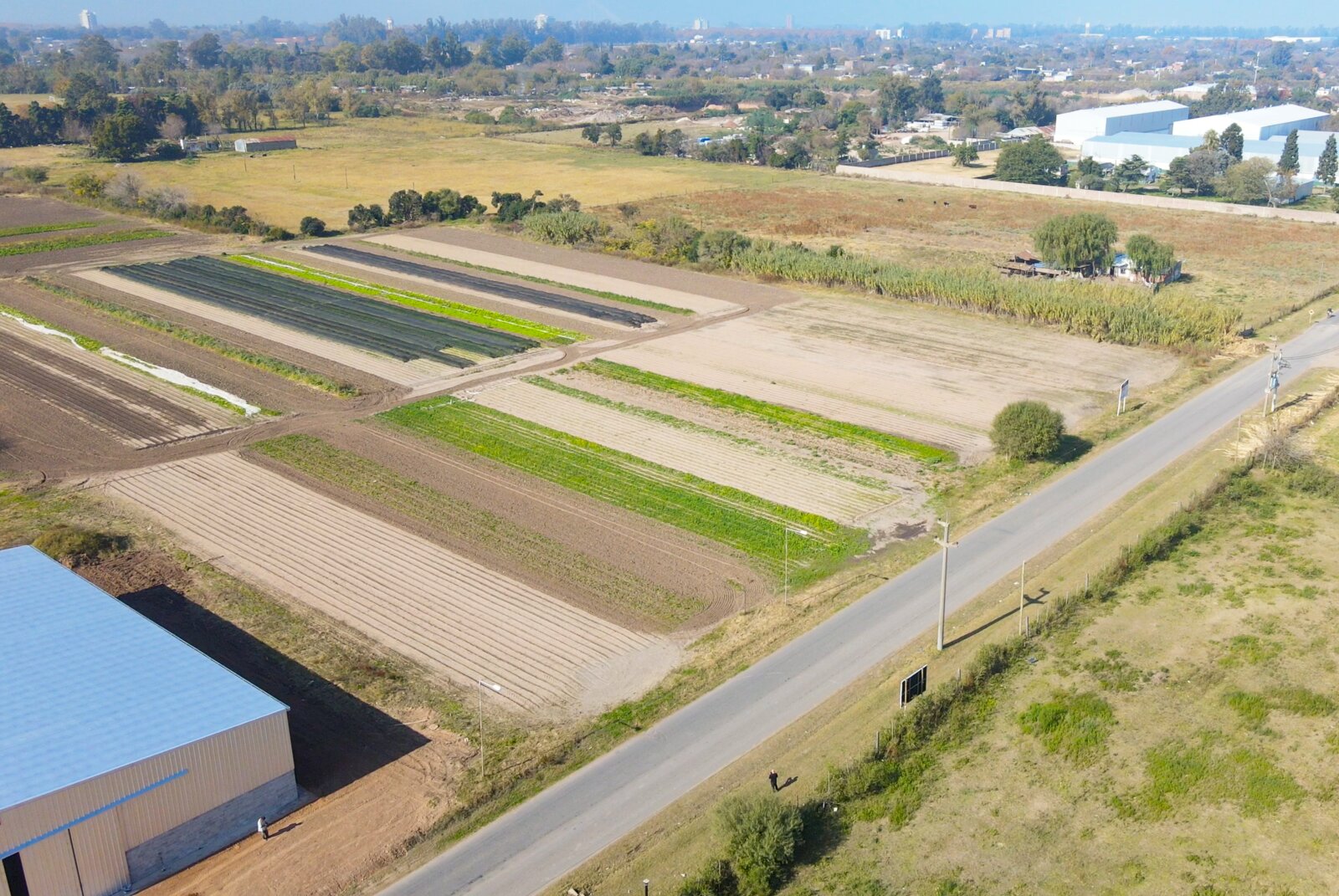 Rene Favaloro y Alfonsina Storni - Lotes 2.500 m2 - Loteo Industrial Granadero Baigorria — foto 4
