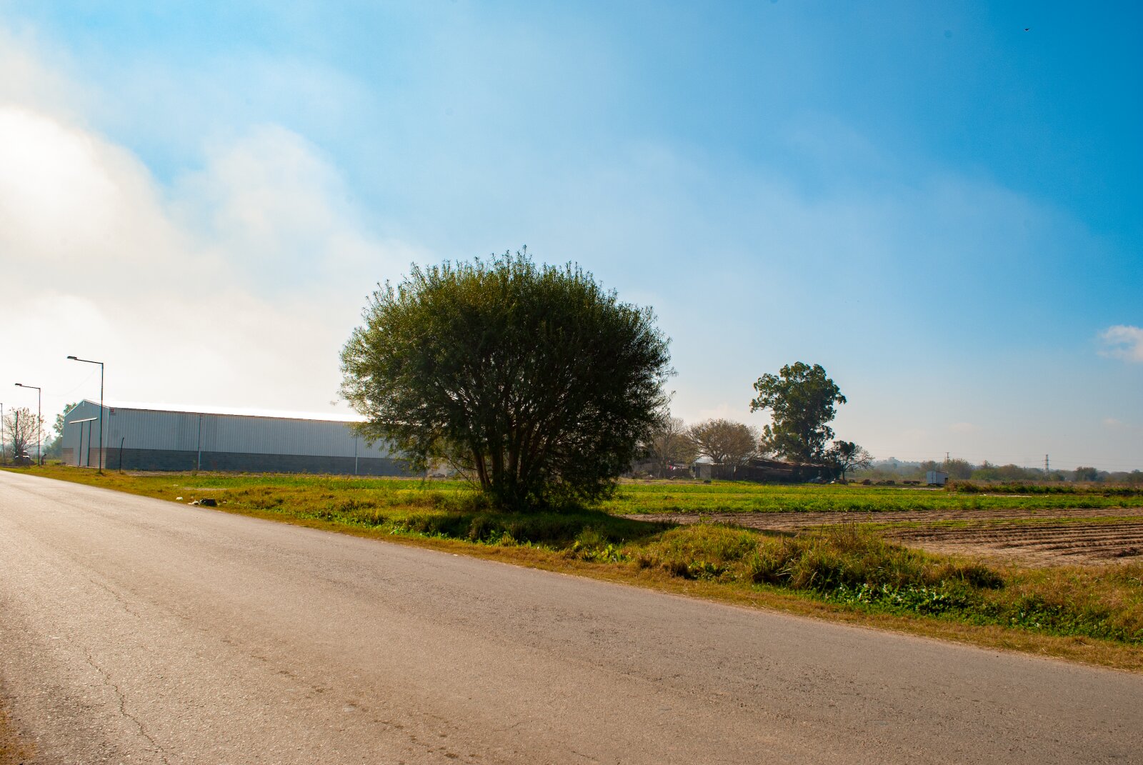 Rene Favaloro y Alfonsina Storni - Lotes 2.500 m2 - Loteo Industrial Granadero Baigorria — foto 6