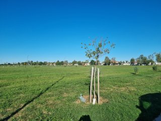 Terrenos - General Lagos - Venta