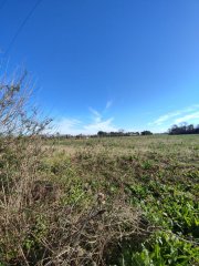Campos - Ibarlucea - Venta