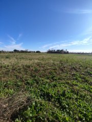 Campos - Ibarlucea - Venta