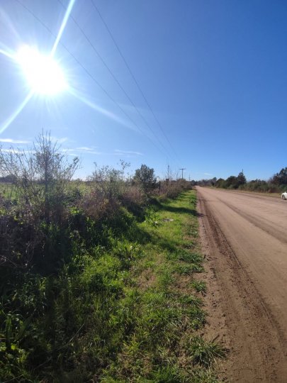 Campos - Ibarlucea - Venta