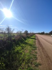 Campos - Ibarlucea - Venta