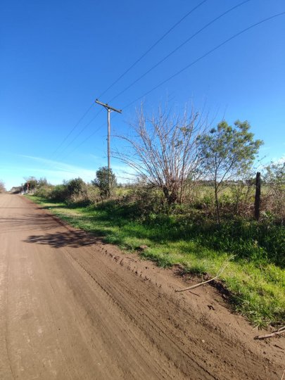 Campos - Ibarlucea - Venta