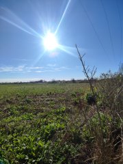 Campos - Ibarlucea - Venta