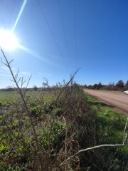 Campos - Ibarlucea - Venta
