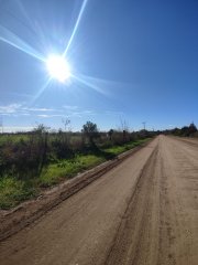 Campos - Ibarlucea - Venta