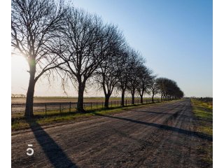 Terrenos - Ibarlucea - Venta