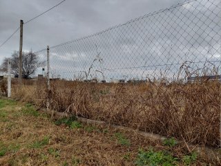 Terrenos - Alvear - Venta