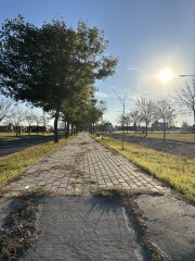 Casas - Iriondo - Venta
