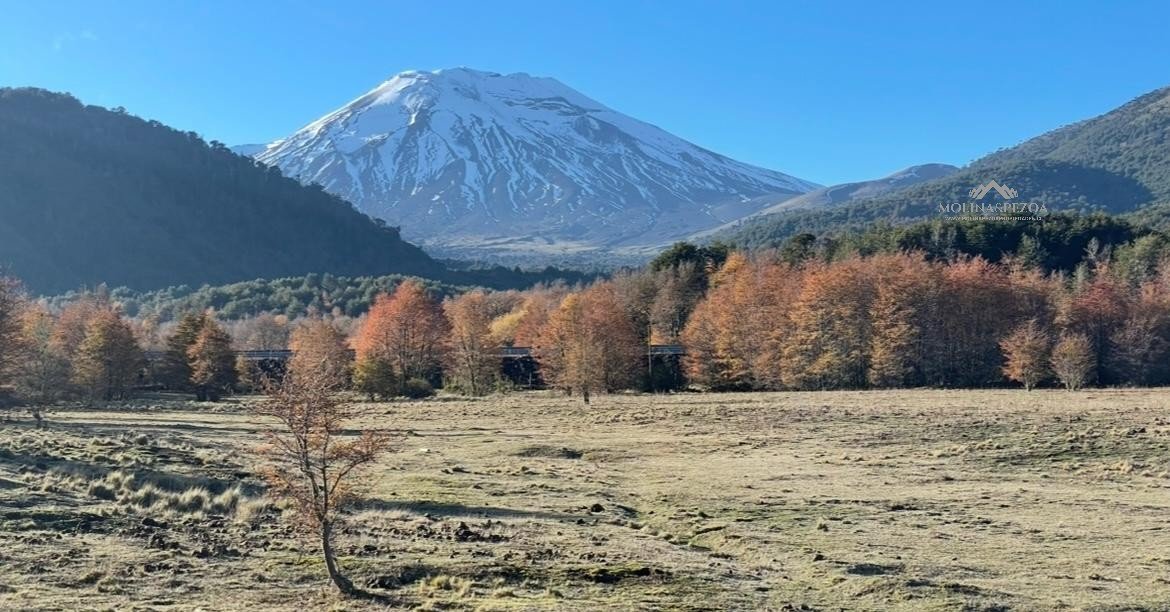 Venta Terreno Curacautín - La Araucanía