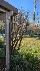 Casas - Ricardone - Venta