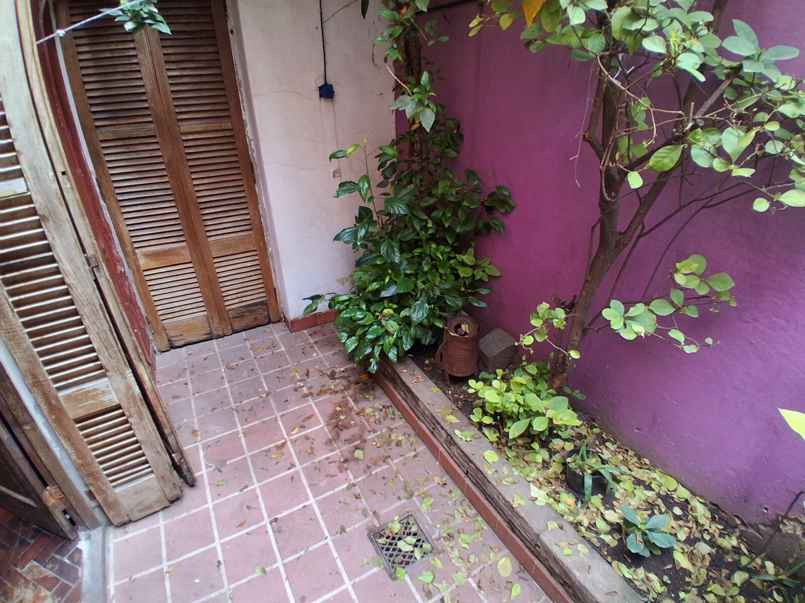 Venta - Casa de pasillo. 2 habitaciones, 2 baños. patio y terraza — foto 2