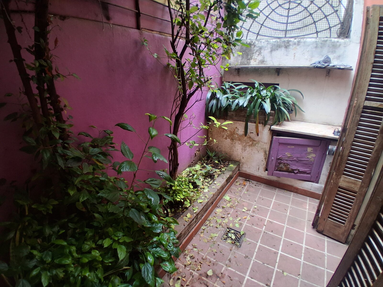 Venta - Casa de pasillo. 2 habitaciones, 2 baños. patio y terraza — foto 3
