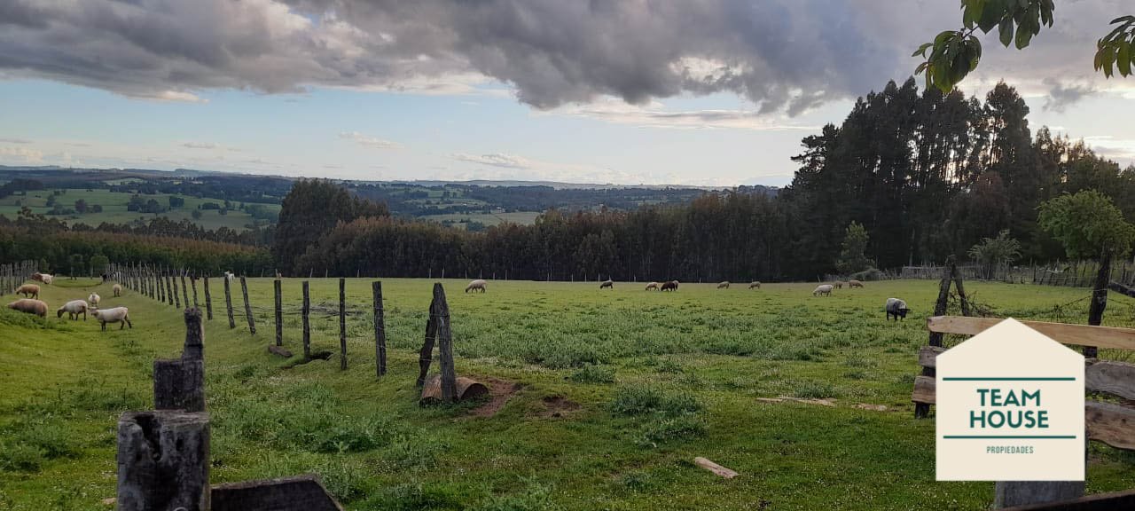 Venta Terreno Osorno - Los Lagos