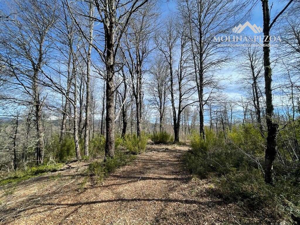 Venta Terreno Curacautín - La Araucanía