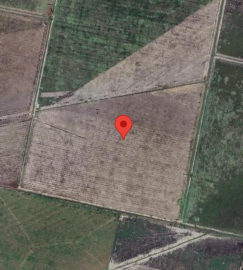 Campos - San Martin De Las Escobas - Venta