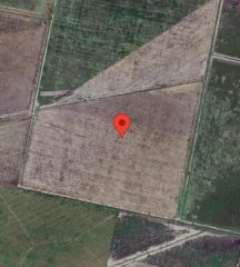 Campos - San Martin De Las Escobas - Venta