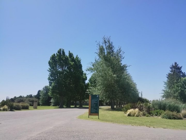 Terrenos - Ibarlucea - Venta