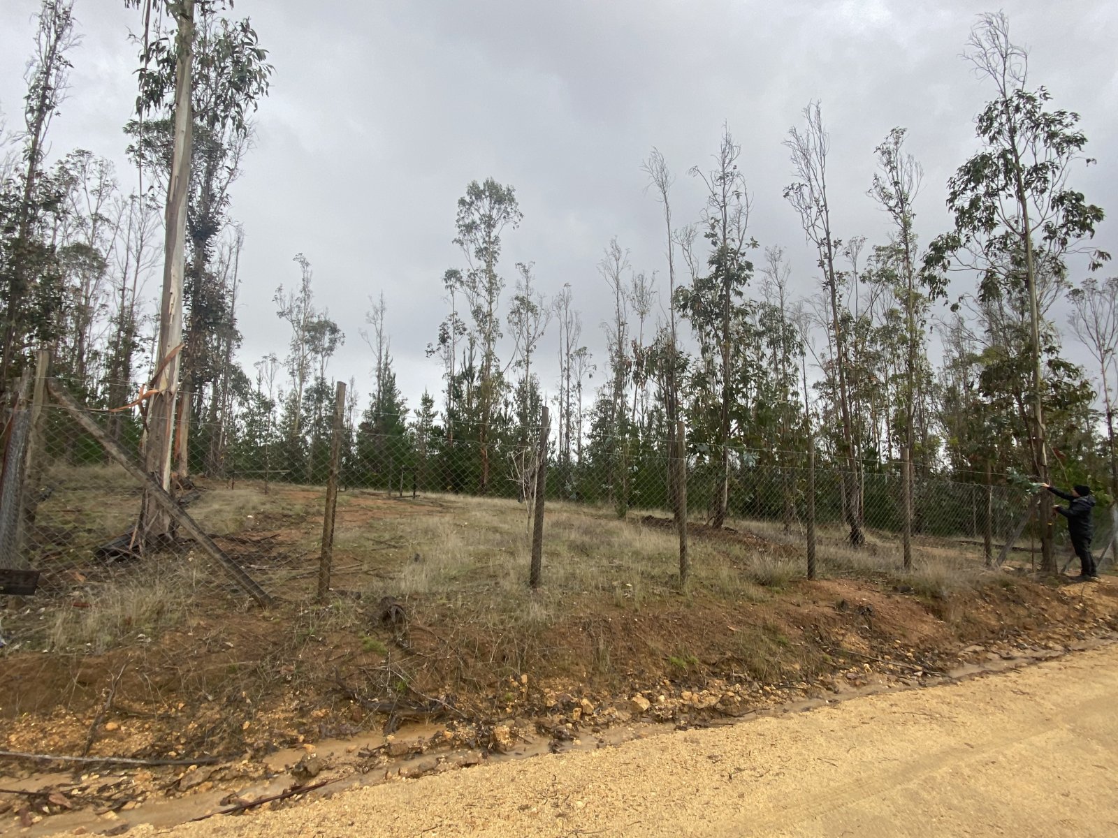 Venta Terreno Pichilemu - O'Higgins