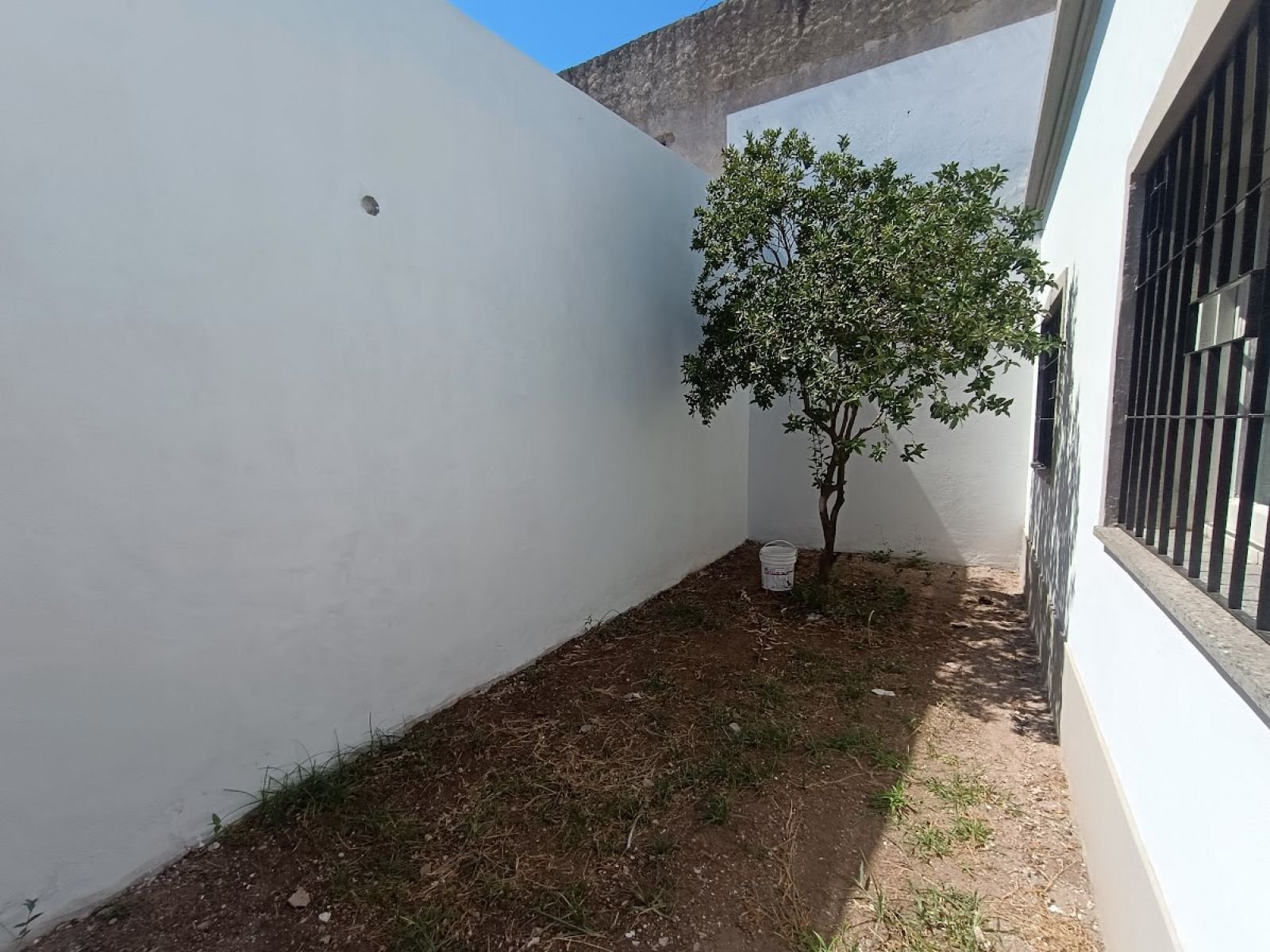 14 de 15