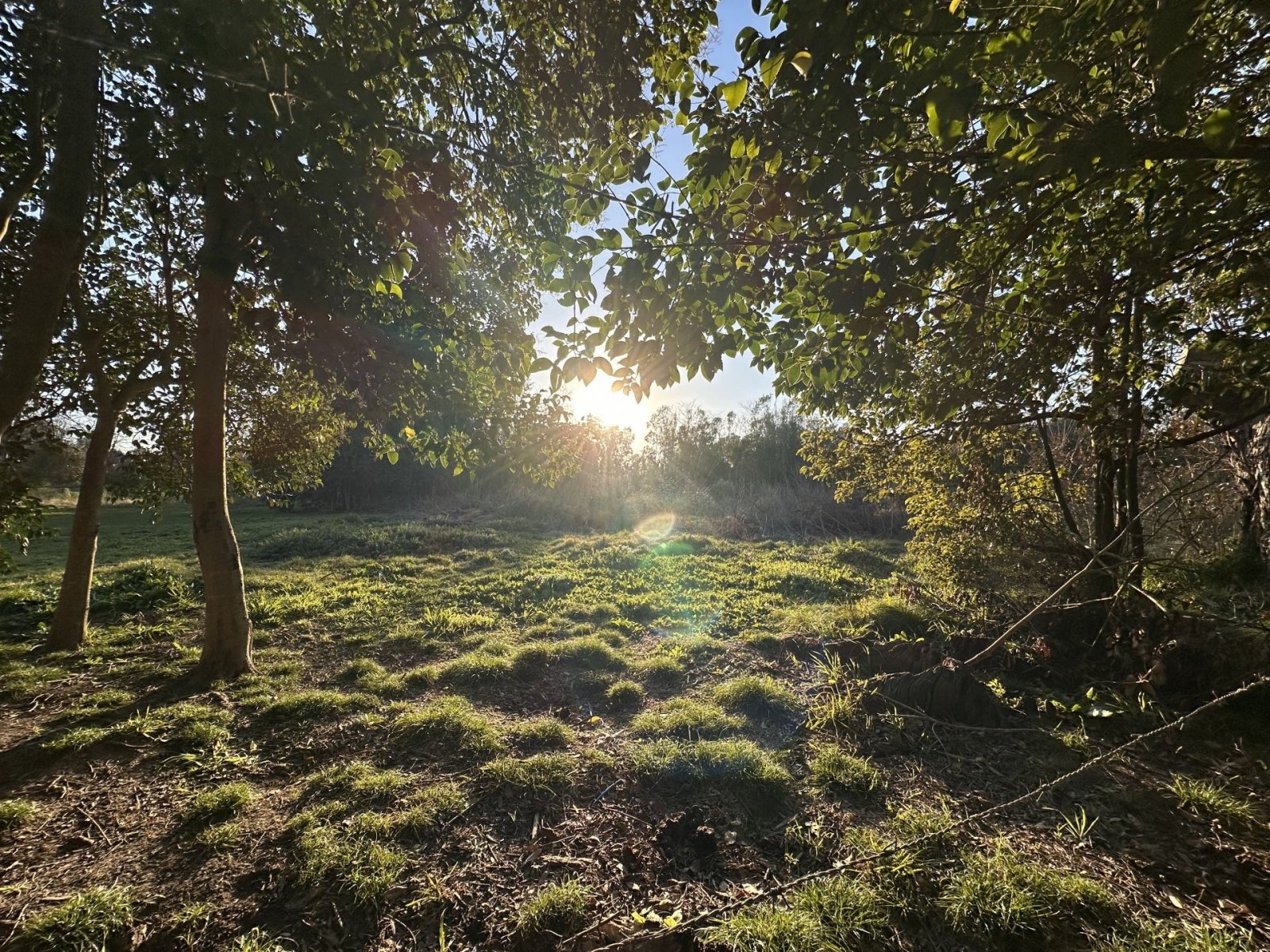 1 de 9