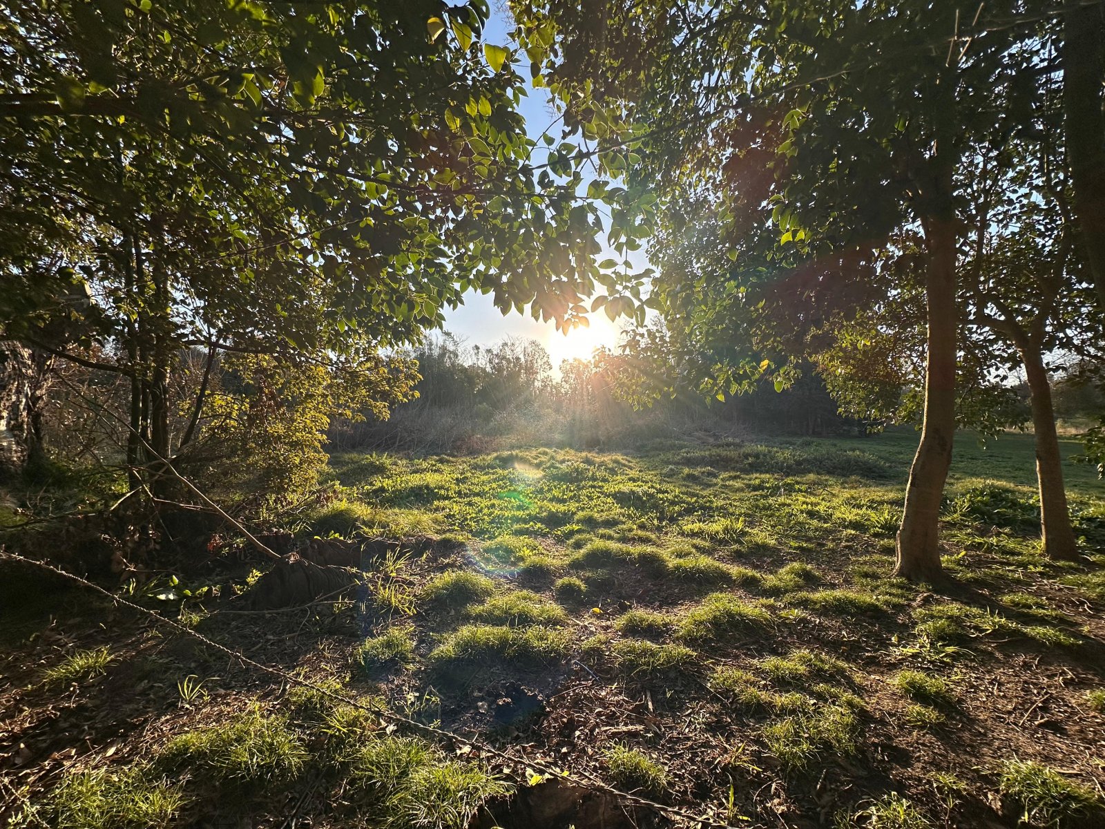 3 de 8