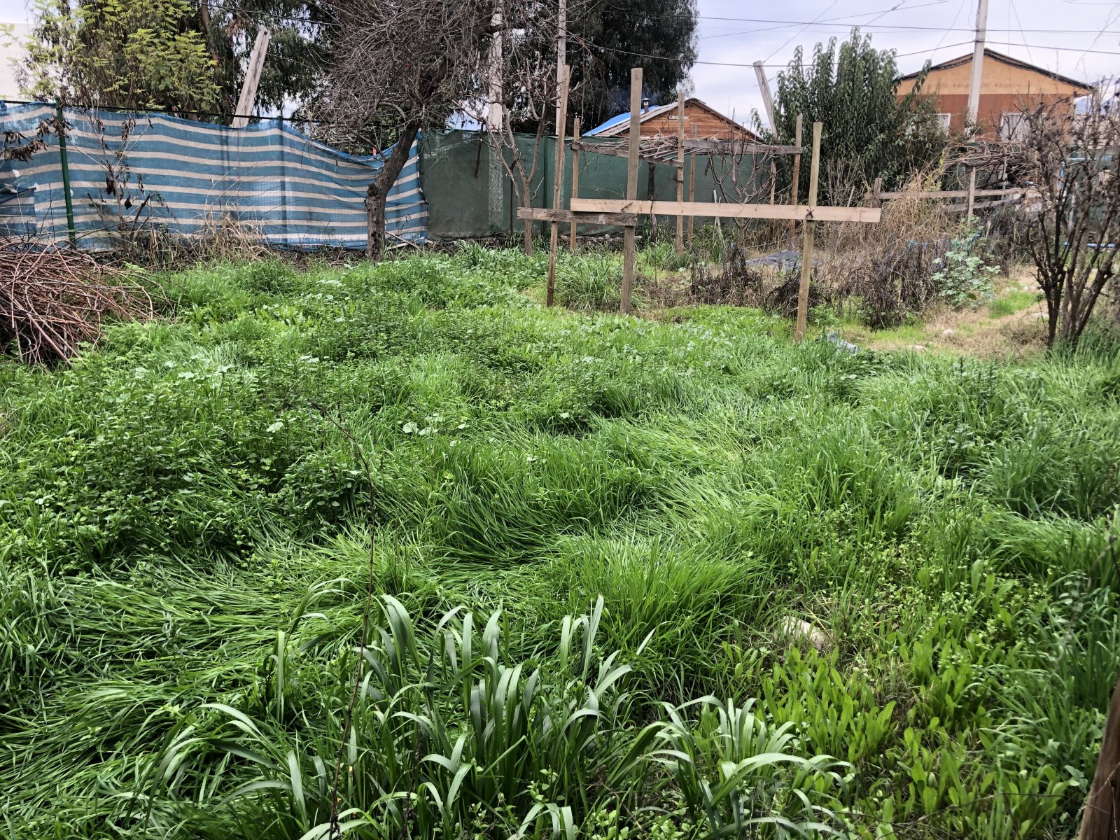 Venta Terreno San Bernardo - Región Metropolitana