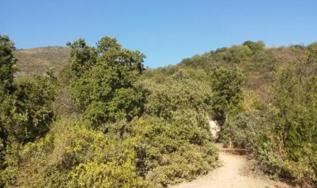 Venta Terreno Isla de Maipo - Región Metropolitana