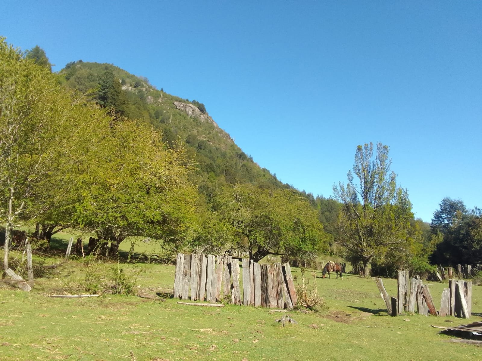 Venta Terreno Pucón - La Araucanía