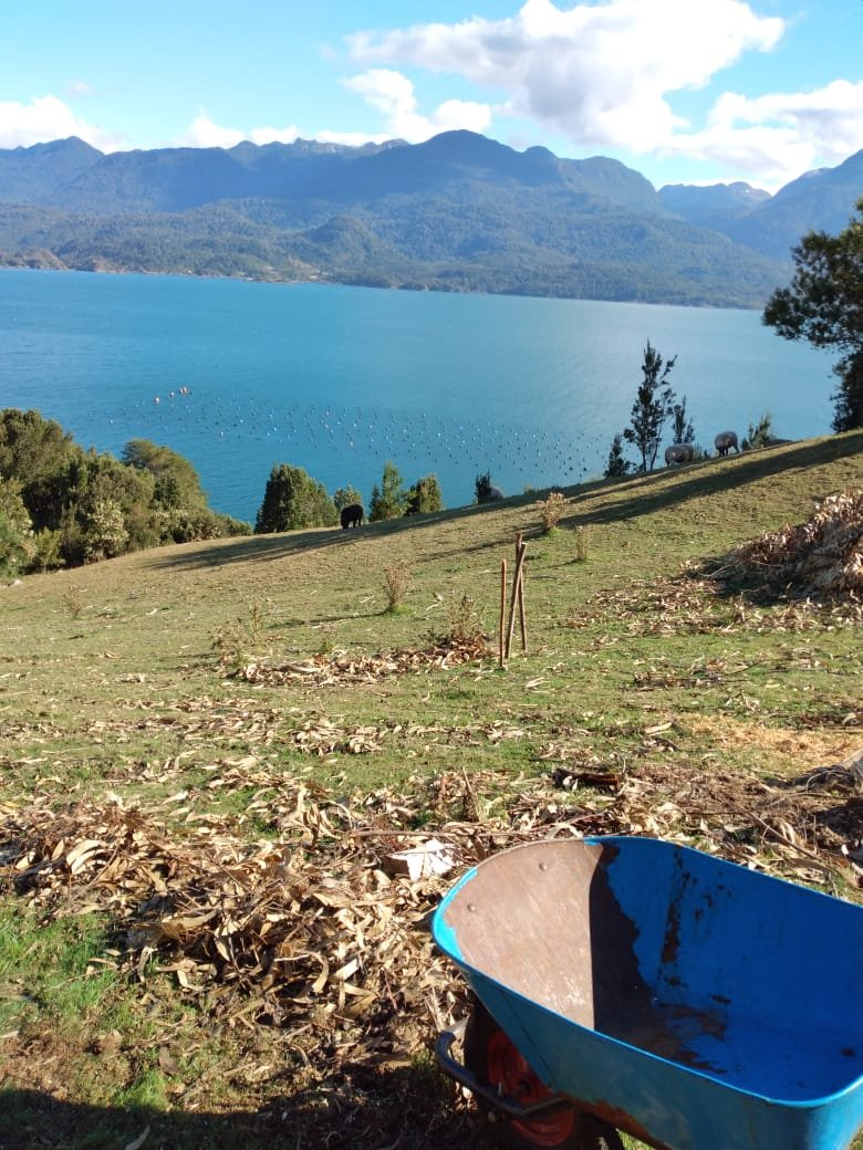 Venta Terreno Cochamó - Los Lagos