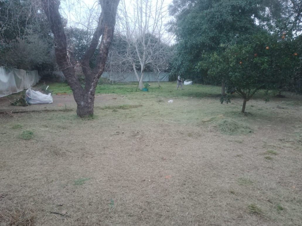 9 de 33