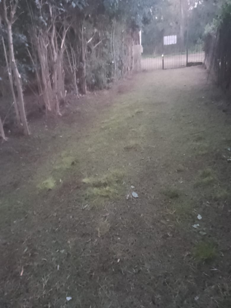 10 de 33