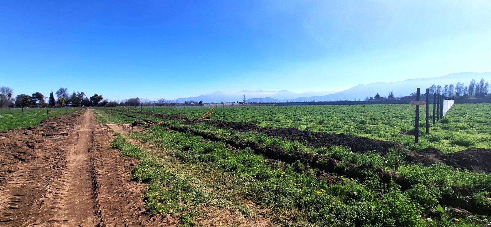 Venta Terreno Graneros - O'Higgins