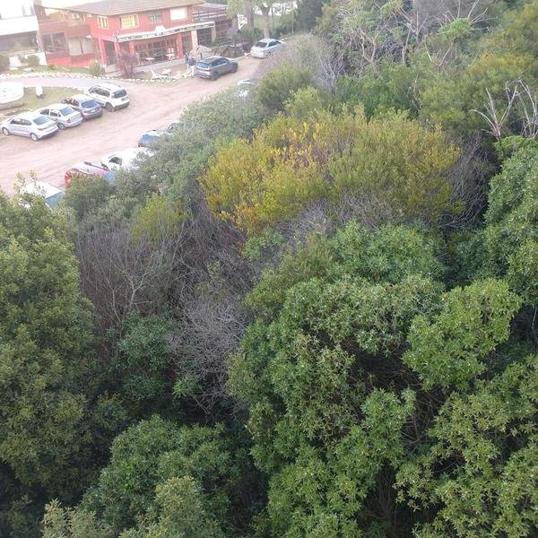 10 de 13