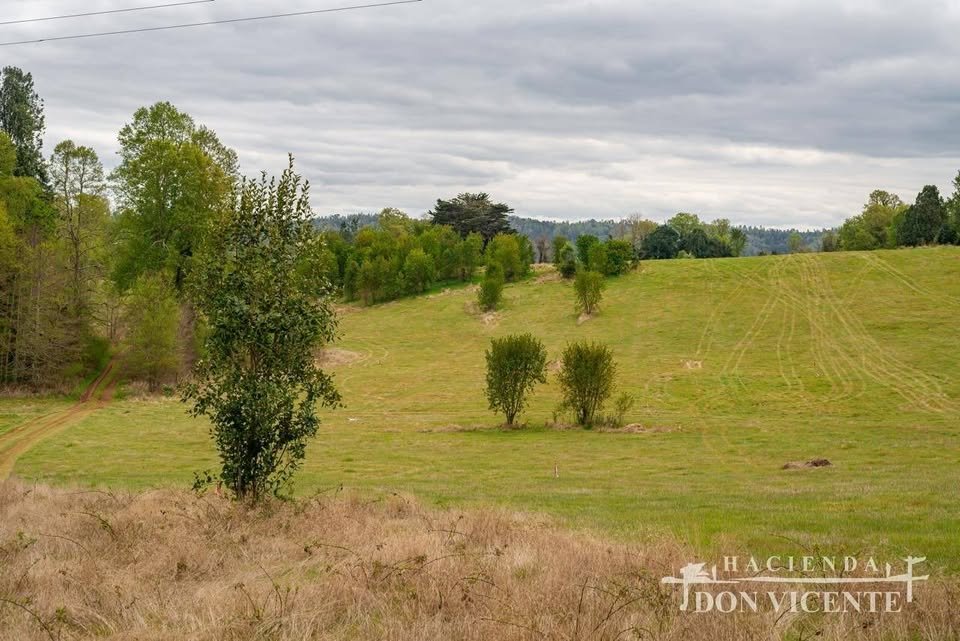 Venta Terreno Valdivia - Los Ríos