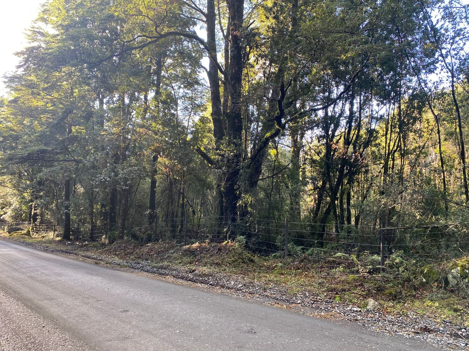 Venta Terreno Puerto Varas - Los Lagos