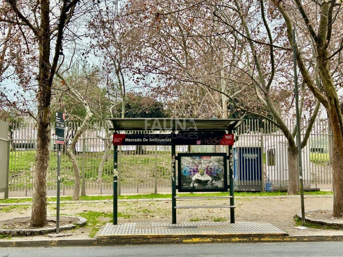 Foto de la propiedad 20
