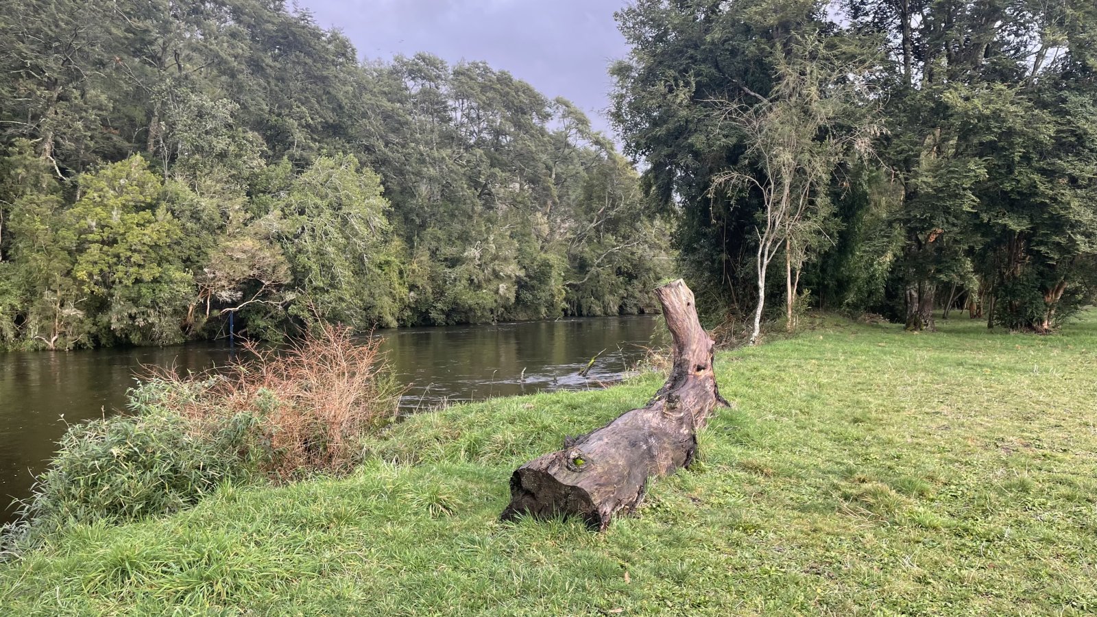 Venta Terreno Puerto Varas - Los Lagos