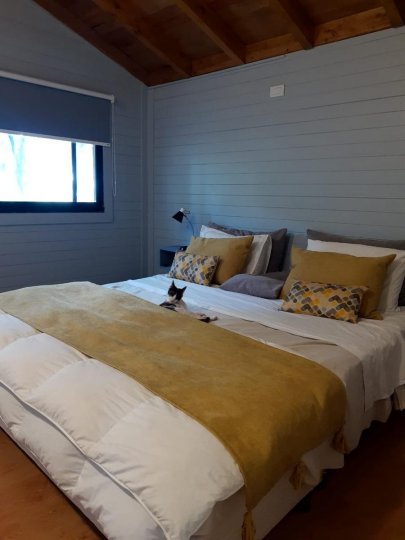 Casas - Iriondo - Venta