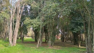 Casas - Iriondo - Venta
