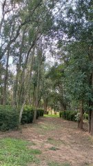 Casas - Iriondo - Venta