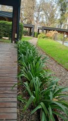 Casas - Iriondo - Venta