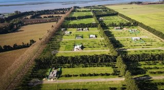 Terrenos - Fighiera - Venta