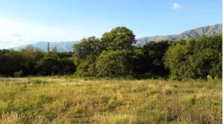 Terrenos - Otra Ciudad - Venta