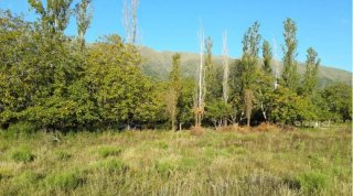 Terrenos - Otra Ciudad - Venta