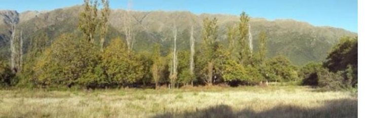 Terrenos - Otra Ciudad - Venta