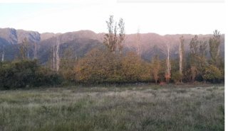 Terrenos - Otra Ciudad - Venta
