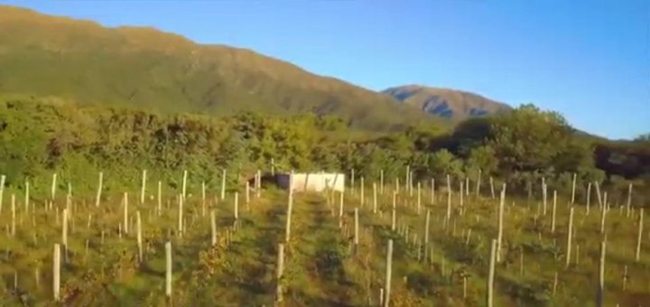 Terrenos - Otra Ciudad - Venta