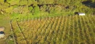 Terrenos - Otra Ciudad - Venta